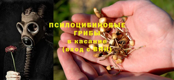 тгк Алексеевка