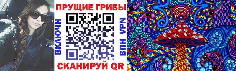 Галлюциногенные грибы ЛСД  купить наркоту  Сольвычегодск 